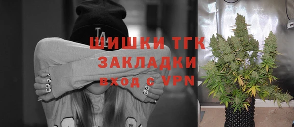 спайс Инта