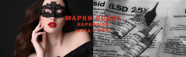 спайс Инта
