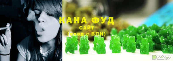 первитин Инсар