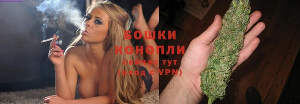 шишки Иннополис