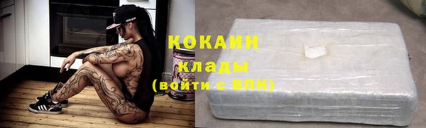 шишки Иннополис