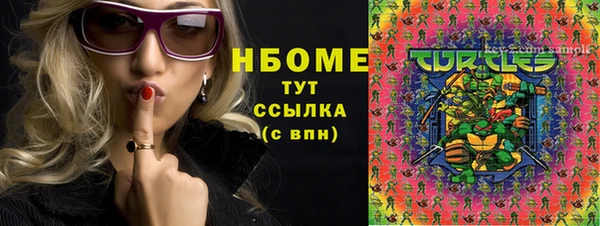 шишки Иннополис
