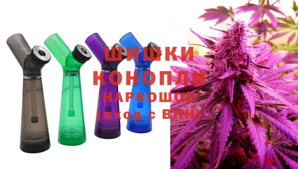 шишки Иннополис