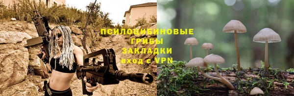 шишки Иннополис