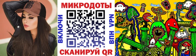 магазин    Исилькуль  Псилоцибиновые грибы Psilocybine cubensis 